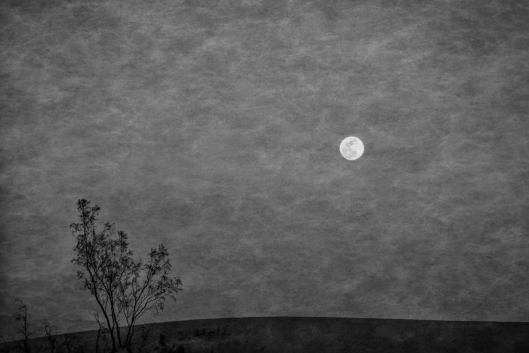 Matthew Zory, _Moonrise Over Mesquite Dunes, Death Valley CA,_ 2019. Digital negative, Platinum palladium print , 6 x 9 inches