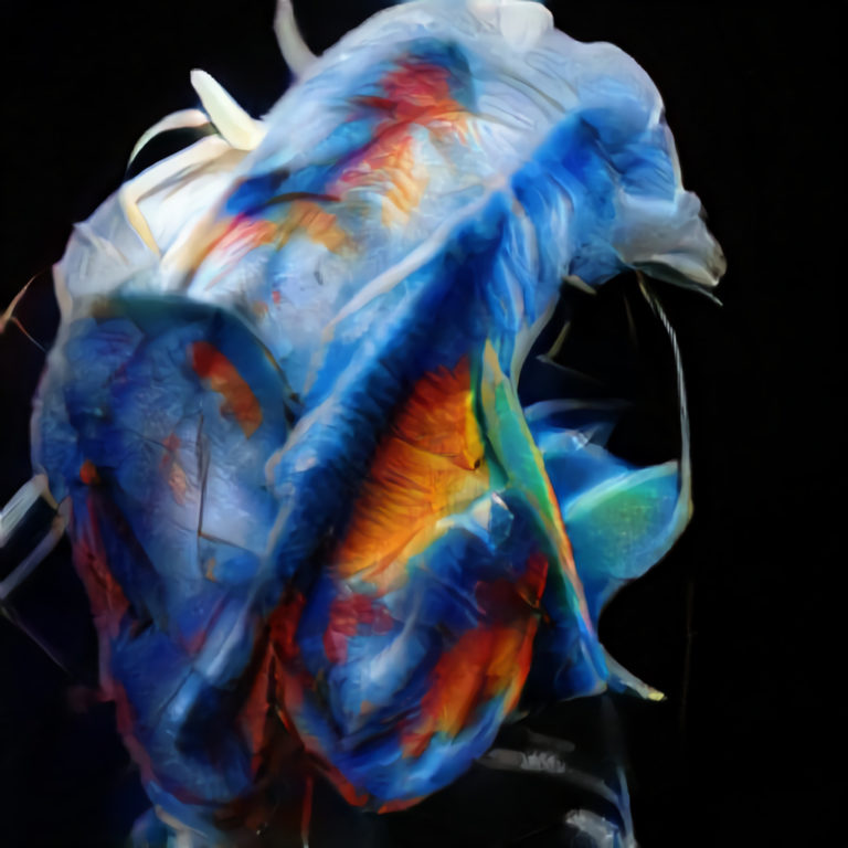 Feather Boa, 23.72_