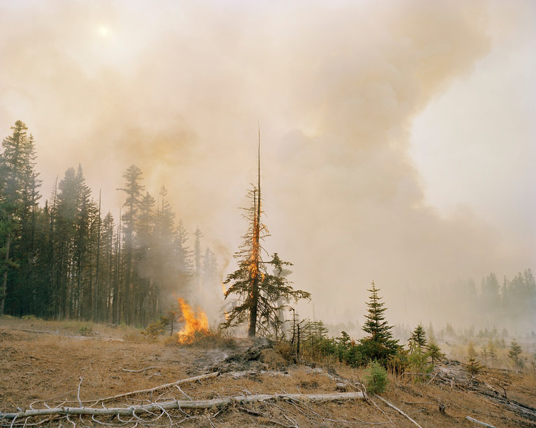 AAC_SaylerMorris_Fires