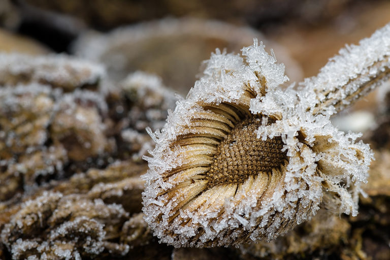 CNC_CROCE_WINTER