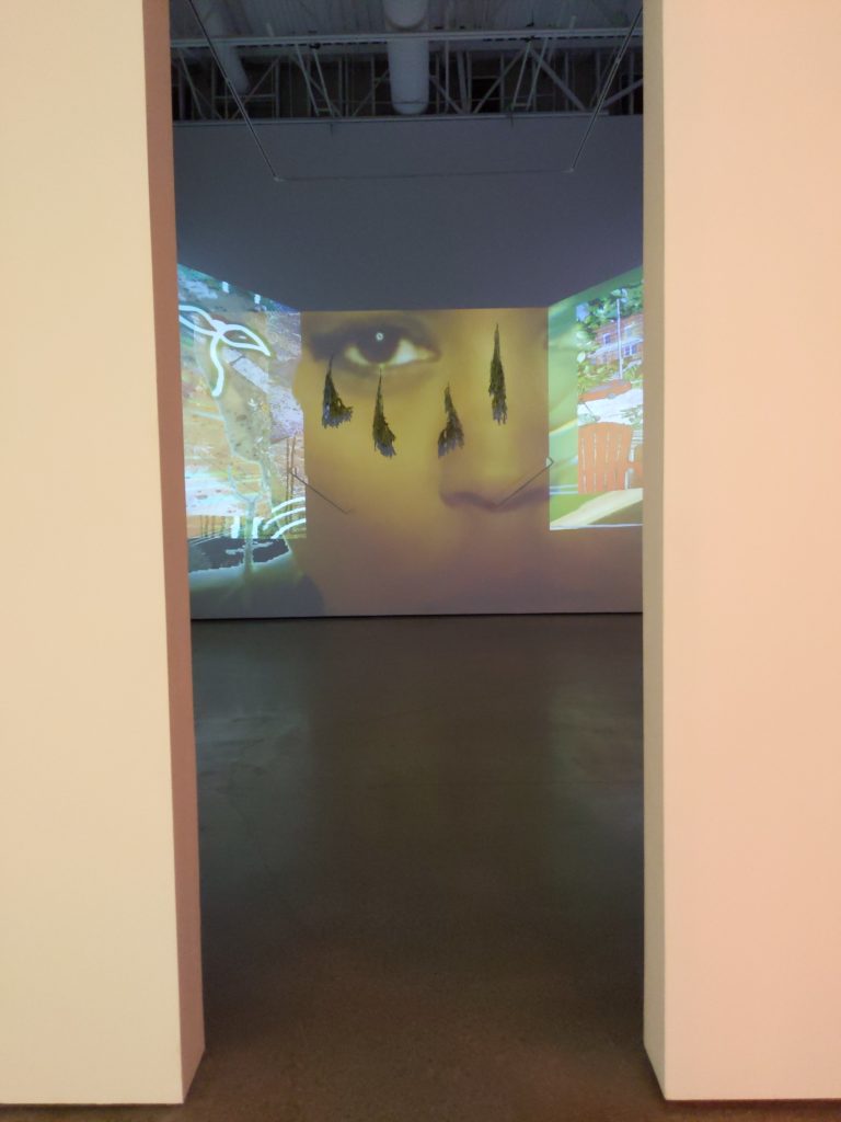 BOBBY T LUCK, FotoFocus Cincinnati