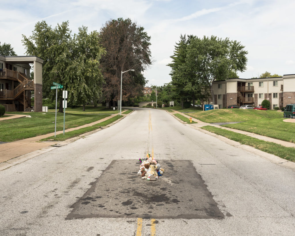 The Murder Of Michael Brown Ferguson Missouri 2016, FotoFocus Cincinnati