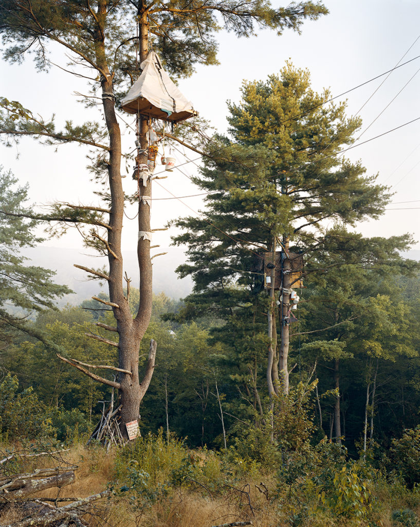 CAC OntheLine Epstein 17753.8.17 Tree Sits Camp White Pine Huntingdon County Pennsylvania 2017, FotoFocus Cincinnati