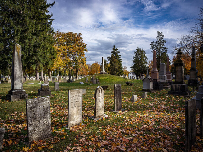 PV DAAP Meyers CE What Remains 01 DAAPMeyers Plattner EatonCemetery