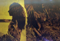 PV Ruths Duality 01 Ruths Gross Death