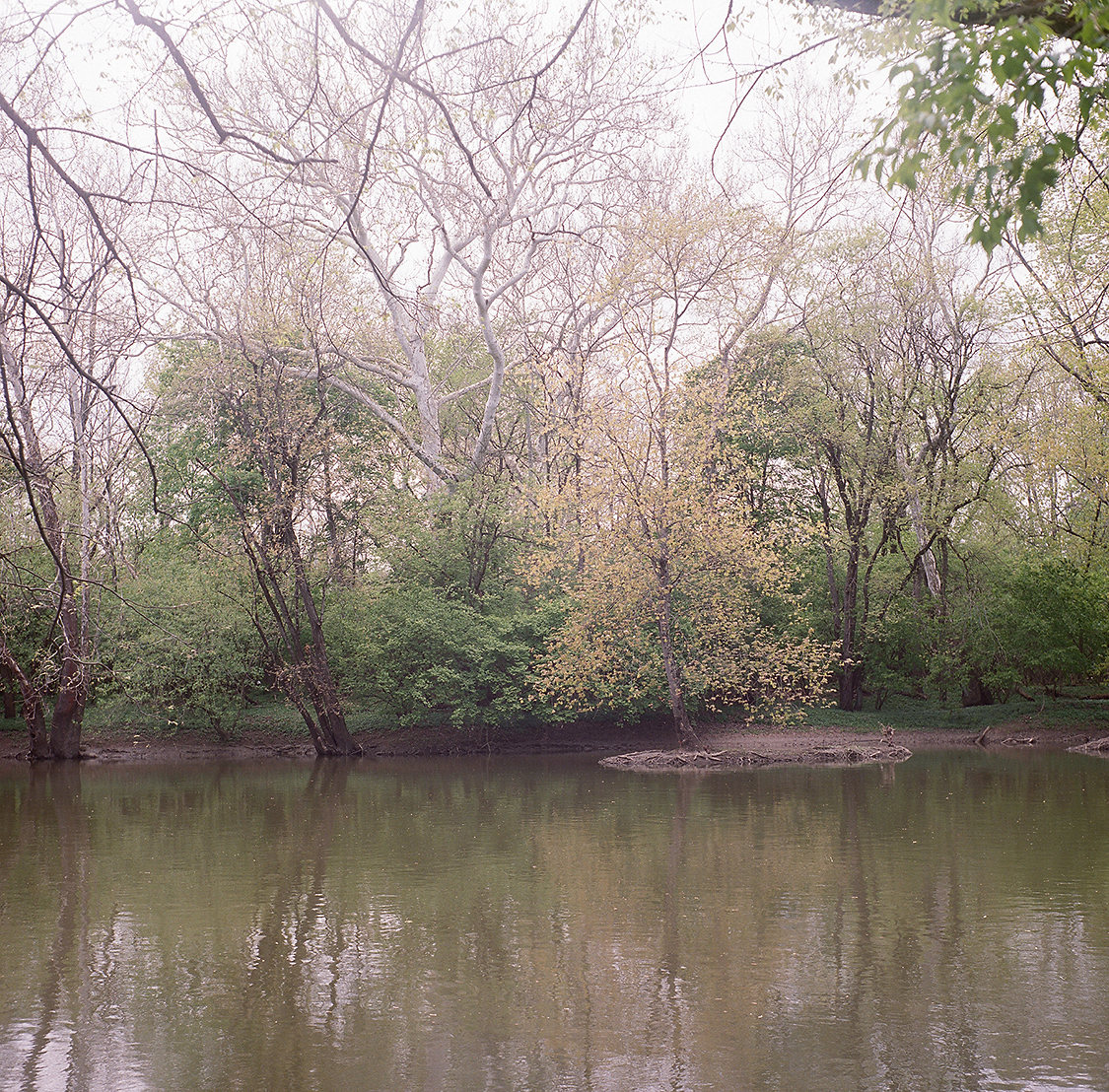 PV Wave Pool 1000 Words 02 Olentangy River Spring 2023