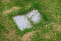 Carnegie Natural Fictions 8 Smith Untitled (Burial Sites) Dimensions Variable Photograph 2024
