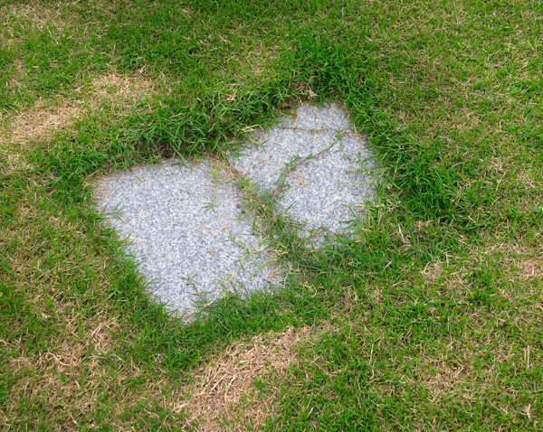 Carnegie Natural Fictions 8 Smith Untitled (Burial Sites) Dimensions Variable Photograph 2024