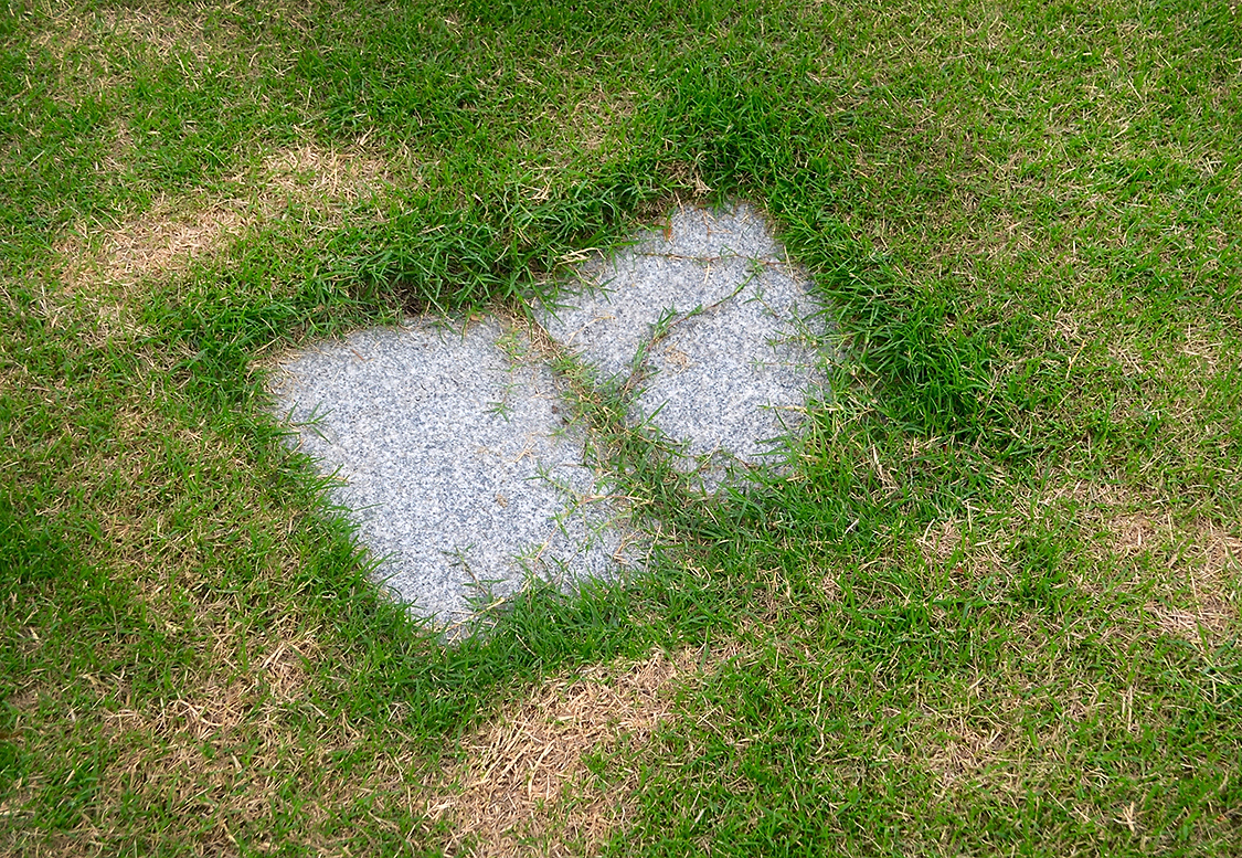 Carnegie Natural Fictions 8 Smith Untitled (Burial Sites) Dimensions Variable Photograph 2024