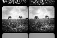 Manifest Gallery Sweep of Time 1 Karen Hillier ArchivePhoto