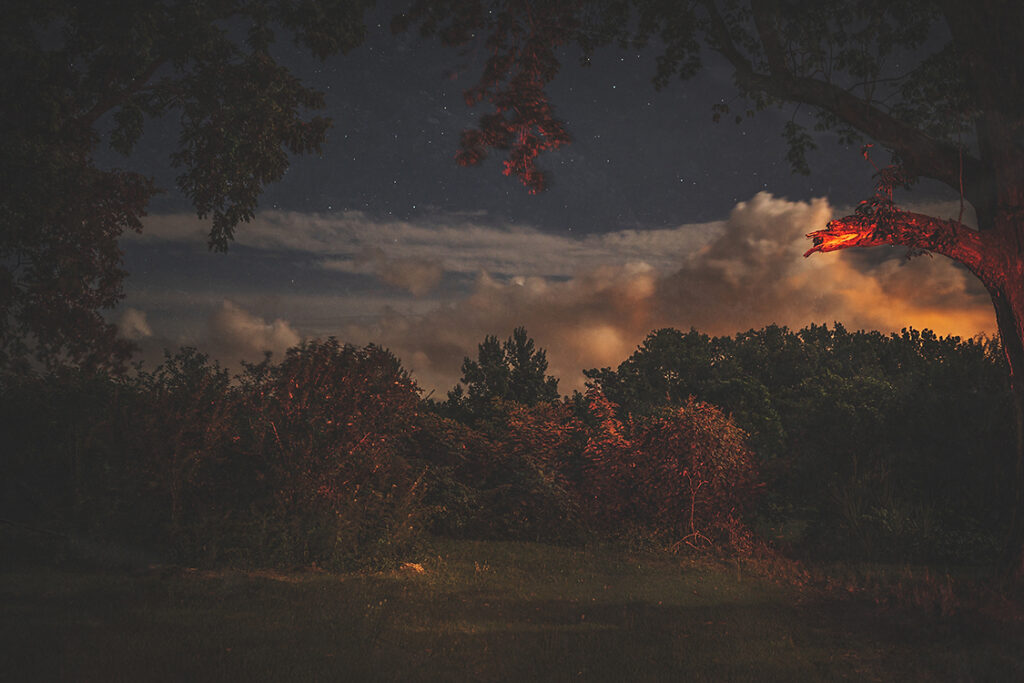 Noah Stephens, _Southern Trees 1.1_, 2020. 35mm digital photograph, 24 × 36 inches. Courtesy of the artist Wave Pool Forgetting Everywhere 3 B0A1096 Edit Copy Southern Trees NoahStephens, FotoFocus