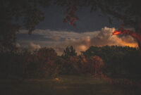 Wave Pool Forgetting Everywhere 3 B0A1096 Edit copy southern trees NoahStephens