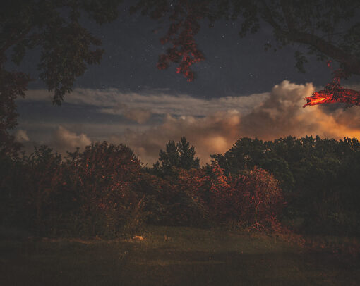 Wave Pool Forgetting Everywhere 3 B0A1096 Edit copy southern trees NoahStephens