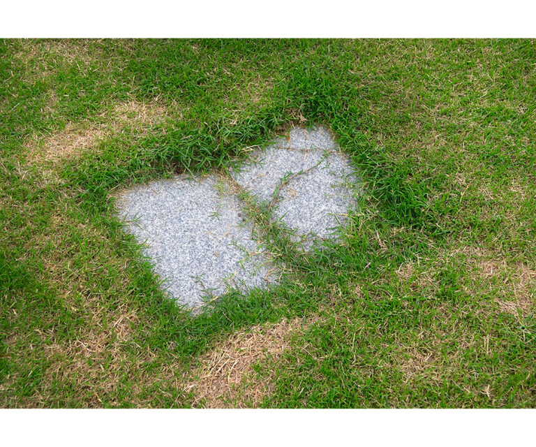 04 Carnegie Natural Fictions 8 Smith Untitled (Burial Sites) Dimensions Variable Photograph 2024