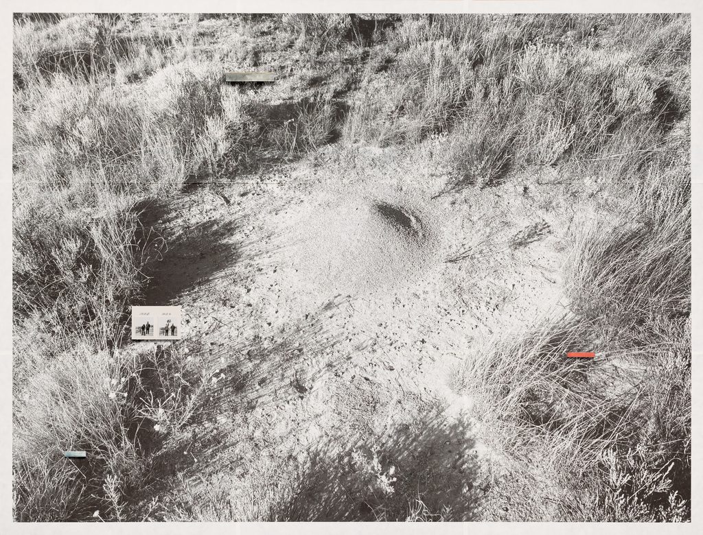 Carnegie Maisel Emergence, NM (4192)
